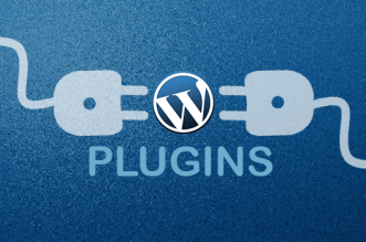 10 WordPress Plugins That Won't Tax Your Website Resources 1
