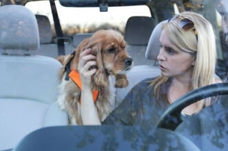 Driving With Pets - How To Avoid Distractions 3