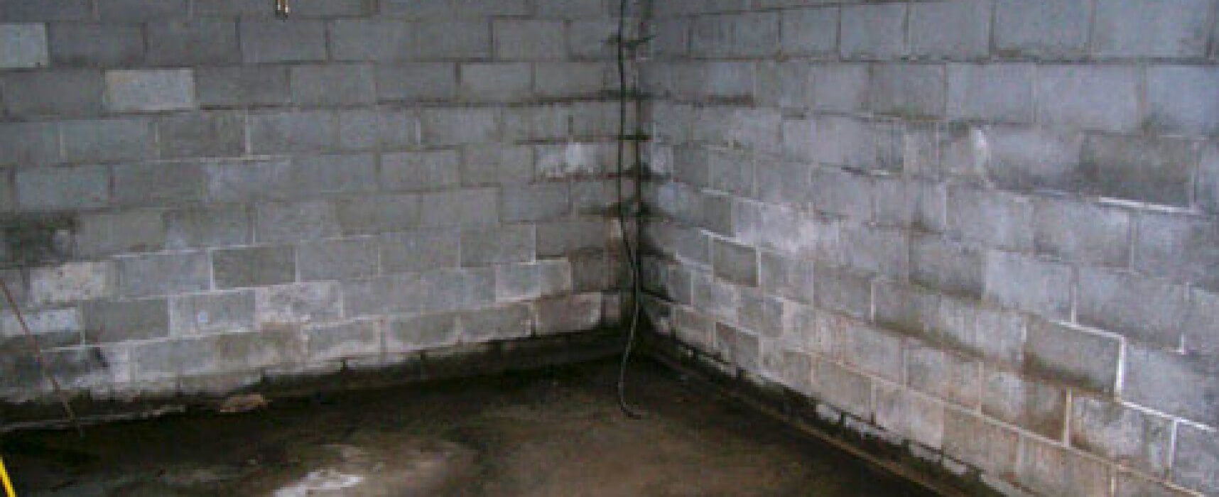 Image result for Leaky Basement