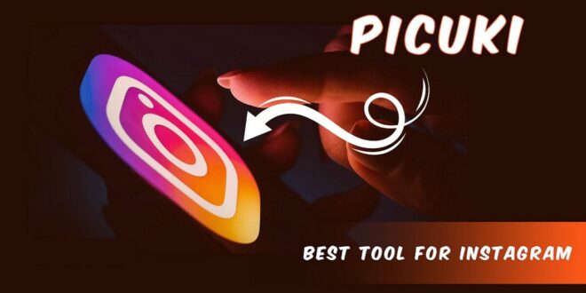 picuki instagram